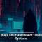 Old Bugs Still Haunt Major Operating Systems